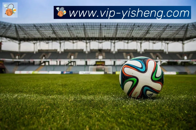 App 示例图